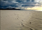 A Borneo Sunset From the Beach...